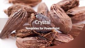  Presentation with plant biology - Cool new presentation theme with free plant biology - black cardamom backdrop and a tawny brown colored foreground