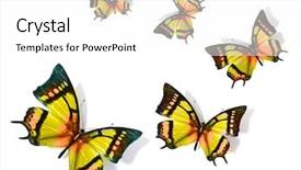  Presentation with plant biology - Colorful presentation theme enhanced with free plant biology - butterfly backdrop and a white colored foreground