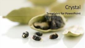  Presentation with cardamom - Colorful PPT layouts enhanced with free plant biology - green cardamom backdrop and a yellow colored foreground