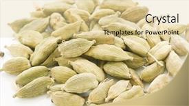  Presentation with plant biology - Amazing PPT theme having free plant biology - green cardamom backdrop and a  colored foreground