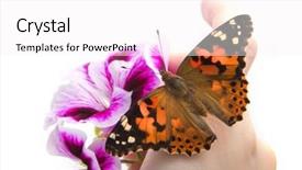  Presentation with plant biology - Cool new presentation theme with free plant biology - image of a butterfly sitting backdrop and a white colored foreground