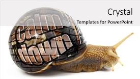  Presentation with power plug calm - PPT theme having snail with calm down message background and a  colored foreground