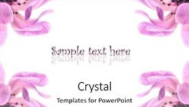  Presentation with purple floral - PPT theme featuring floral purple free - pink anemone blossoms background background and a white colored foreground