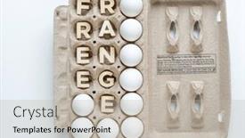  Presentation with free self care - Theme with free-range-egg-carton background and a mint green colored foreground