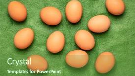  Presentation with free - Cool new slide deck with free-range large brown chicken backdrop and a tawny brown colored foreground