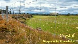  Presentation with new zealand - Presentation theme consisting of free-range-sheep-grazing background and a tawny brown colored foreground