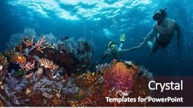  Presentation with coral reef - Amazing presentation having free recreation family - couple snorkeling together over vivid backdrop and a tawny brown colored foreground