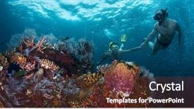  Presentation with coral reef - Presentation theme featuring free recreation family - couple snorkeling together over vivid background and a tawny brown colored foreground