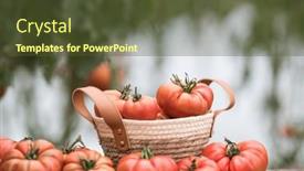  Presentation with tomato - 
