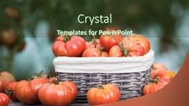  Presentation with tomato - 