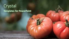  Presentation with tomato - 