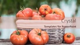  Presentation with tomato - PPT theme enhanced with free-red-vegetables-of-tomato background and a coral colored foreground