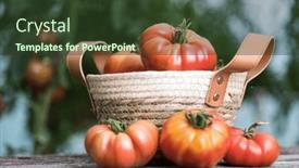  Presentation with tomato - Presentation featuring free-red-vegetables-of-tomato background and a tawny brown colored foreground