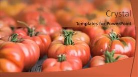  Presentation with tomato - PPT theme enhanced with free-red-vegetables-of-tomato background and a red colored foreground