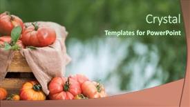  Presentation with tomato - Presentation featuring free-red-vegetables-of-tomato background and a tawny brown colored foreground