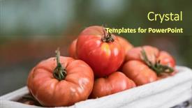  Presentation with tomato - PPT theme with free-red-vegetables-of-tomato background and a tawny brown colored foreground