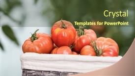  Presentation with tomato - PPT layouts featuring free-red-vegetables-of-tomato background and a tawny brown colored foreground