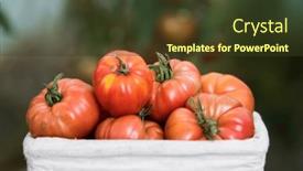  Presentation with tomato - Presentation having free-red-vegetables-of-tomato background and a tawny brown colored foreground