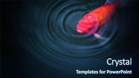  Presentation with fish pond - Cool new PPT theme with free ripple - fish in pond nature background backdrop and a navy blue colored foreground