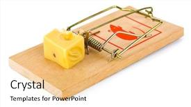  Presentation with white cheese - Amazing slide deck having free safety - mousetrap and cheese isolated backdrop and a lemonade colored foreground