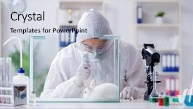  Presentation with lab safety - PPT theme with free safety - scientist doing animal experiment background and a light gray colored foreground