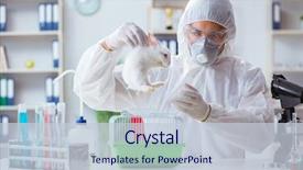  Presentation with lab animal - Presentation design consisting of free safety - scientist doing animal experiment background and a lemonade colored foreground