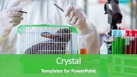  Presentation with animals - PPT layouts with free safety - scientist doing testing on animals background and a shamrock green colored foreground