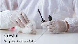  Presentation with rabbit - Colorful slide deck enhanced with free safety - white rabbit in scientific lab backdrop and a sky blue colored foreground