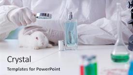  Presentation with lab safety - Cool new PPT theme with free safety - white rabbit in scientific lab backdrop and a white colored foreground