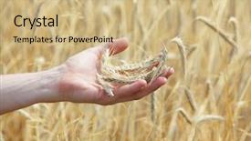  Presentation with ears - Slide set featuring flag of christmas island officially background and a forest green colored foreground.