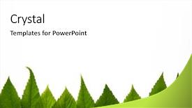  Presentation with chemistry leaves green leaf - PPT theme consisting of free season greeting holiday - green leaves isolated on white background and a white colored foreground