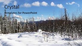  Presentation with joyful - Beautiful PPT theme featuring free themes - joyful winter picture backdrop and a light blue colored foreground