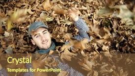  Presentation with green leaves coriander lay - Cool new presentation with free thoughts - young handsome man laying backdrop and a tawny brown colored foreground