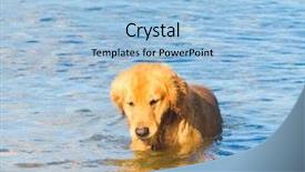  Presentation with blue eyes technology eye scan - Colorful presentation theme enhanced with free waves grey - sun smart eyes backdrop and a  colored foreground