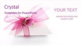  Presentation with text box - Audience pleasing presentation theme consisting of motherhood - neonatology - newborn with jaundice backdrop and a cobalt blue colored foreground.