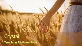  Presentation with field - Colorful presentation enhanced with free wheat grains - female person walking backdrop and a  colored foreground