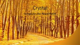  Presentation with beauty beautiful autumn in japanese - PPT theme enhanced with free winter scene - beautiful autumn park background background and a  colored foreground