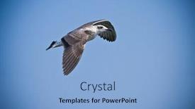  Presentation with sky blue - Presentation design consisting of freedom-blue-sky-ocean background and a light blue colored foreground