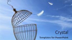  Presentation with cage - Presentation theme enhanced with freedom cage escaping concept background and a light blue colored foreground
