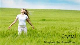  Presentation with green soccer field sport - PPT theme having lens - chrismas frame background with golden background and a wine colored foreground.