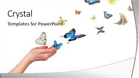  Presentation with freedom - PPT theme consisting of freedom background and a white colored foreground