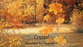  Presentation with falling leaves - PPT theme with freefalling - autumnal park with falling maple background and a gold colored foreground