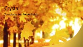  Presentation with falling leaves - Presentation design having freefalling - autumnal park with falling maple background and a gold colored foreground