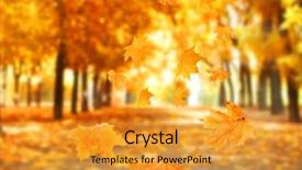  Presentation with leaves falling - Presentation consisting of freefalling - autumnal park with falling maple background and a gold colored foreground