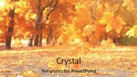  Presentation with leaves falling - Presentation consisting of freefalling - autumnal park with falling maple background and a yellow colored foreground