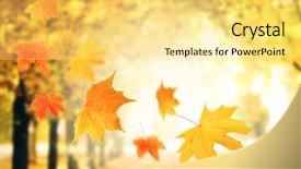  Presentation with falling leaves - Audience pleasing presentation design consisting of freefalling - autumnal park with falling maple backdrop and a yellow colored foreground