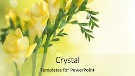  Presentation with flowers border - PPT layouts having freesia flowers border design background and a blonde colored foreground