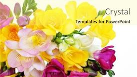  Presentation with plants - Presentation theme consisting of freesia flowers on white background - flowers and plants background and a yellow colored foreground