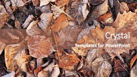  Presentation with chemistry leaves green leaf - Amazing PPT theme having dying garden - pile of different dry leaves backdrop and a coral colored foreground