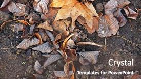  Presentation with dry - Colorful PPT theme enhanced with pile of different dry leaves backdrop and a dark gray colored foreground